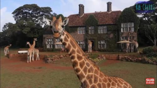 15:09:55 GMT-0700 (PDT)