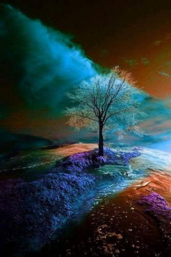 12:46:11 GMT-0500 (CDT)