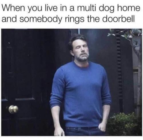 156921000_4143415339024565_587096069919073103_n