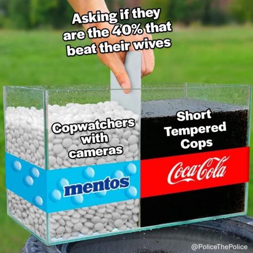 161691517_479614123368310_6177509714867916743_o