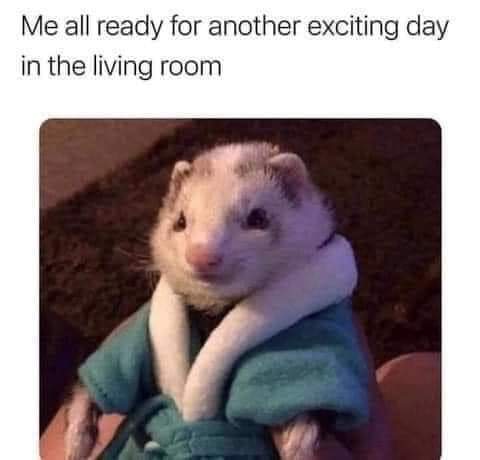 19:17:29 GMT-0400 (EDT)