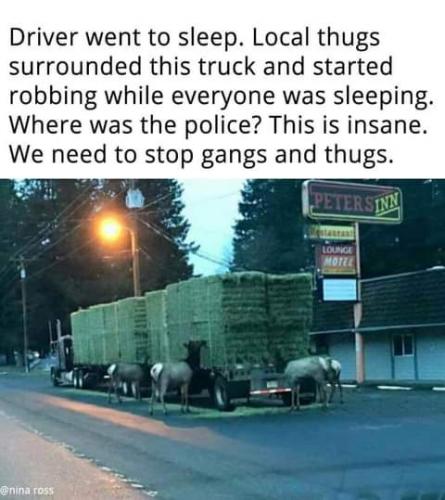 14:08:05 GMT-0700 (PDT)