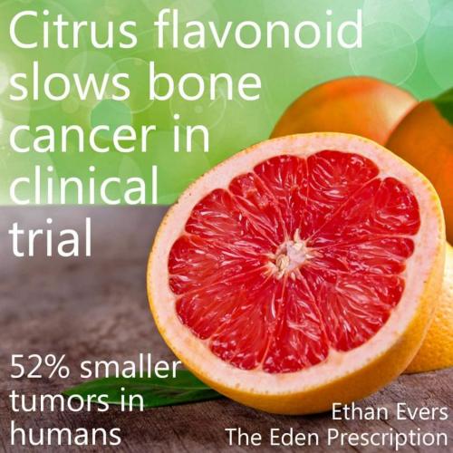 13:01:02 GMT-0700 (MST)