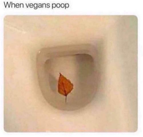 19:45:59 GMT-0600 (CST)