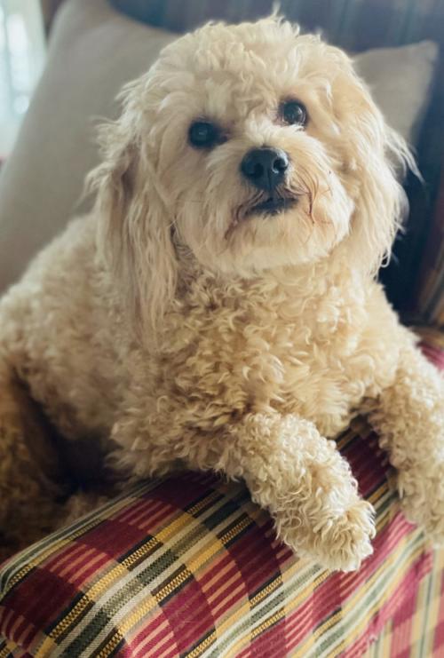 CD6E4EDA-B787-421F-8403-16375D5A2728