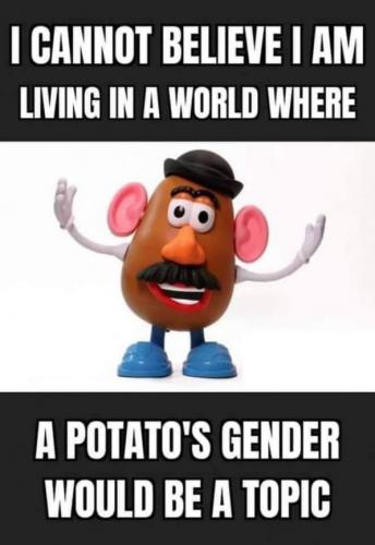 mister potato head15