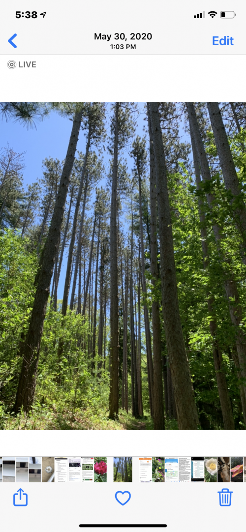 17:39:32 GMT-0500 (EST).image