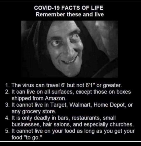 Covid Facts Of Life