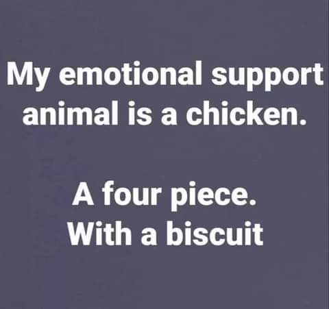 21:58:14 GMT-0800 (PST)