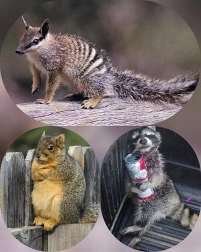 11:56:46 GMT-0400 (EDT)