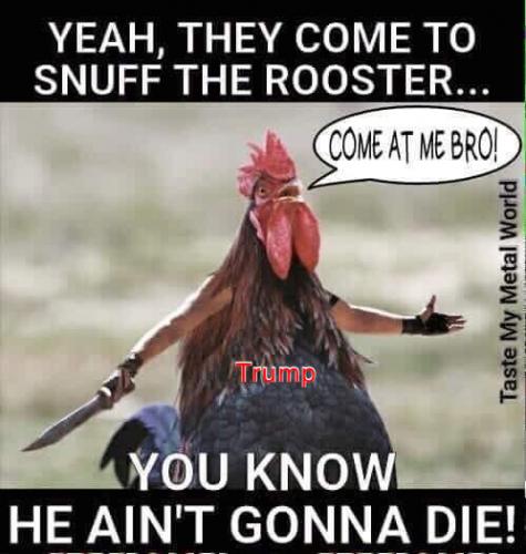 569746B6-C0C2-4CB2-854C-4F0361873EF9