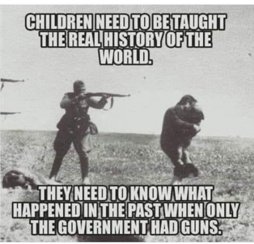 gov guns