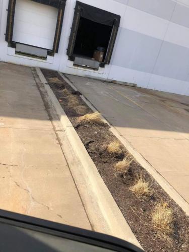 15:04:07 GMT-0600 (CST)