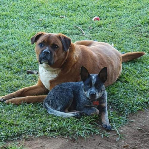 04:09:26 GMT+1100 (AEDT)