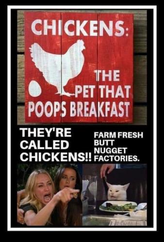 15:04:25 GMT-0800 (PST)