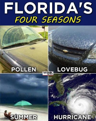 FLORIDA SEASONS