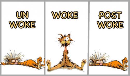 WOKE