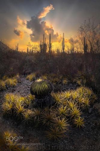 163230822_1538132979719380_3888551187827446931_n