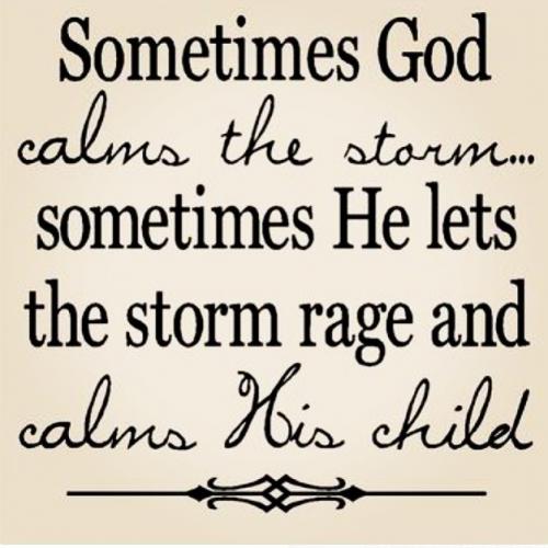 18034365_1683339598639134_8023227327781299818_n