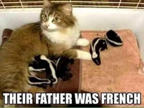 19:24:47 GMT+0800 (PST)