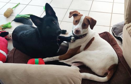 01:38:59 GMT-0400 (EDT)