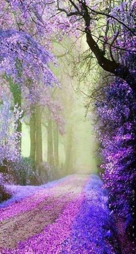 ,                                                                                                                                                                                                                       0 0 a