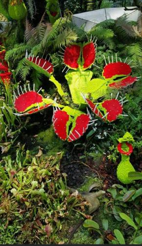 07:18:06 GMT-0500 (CDT)