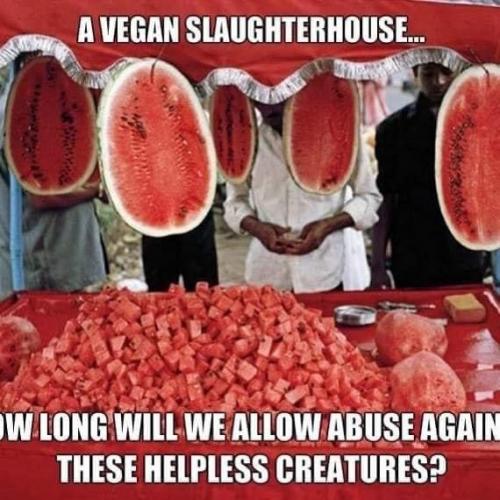 08:59:52 GMT-0600 (CST).image