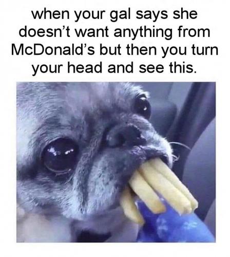doesnt want anything from mcdonalds