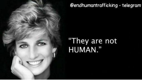 A81D5F89-D934-4F18-A58F-5E59777551B5