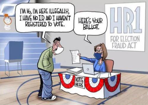 voterfraud144