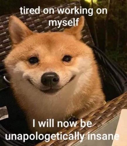 22:41:42 GMT-0500 (CDT)