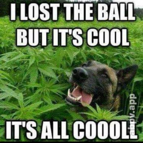 Screenshot_20210301-090656