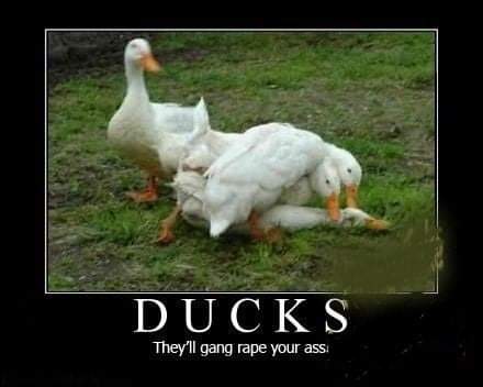 13:57:52 GMT-0700 (PDT)