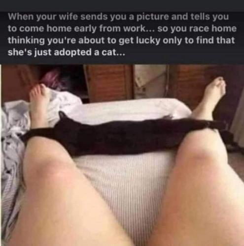 19:01:08 GMT-0400 (EDT)