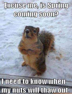 12:40:14 GMT-0500 (EST)