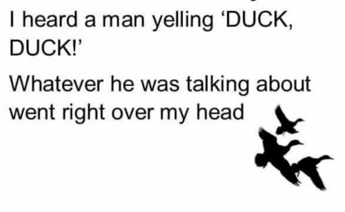 12:51:23 GMT-0500 (EST)