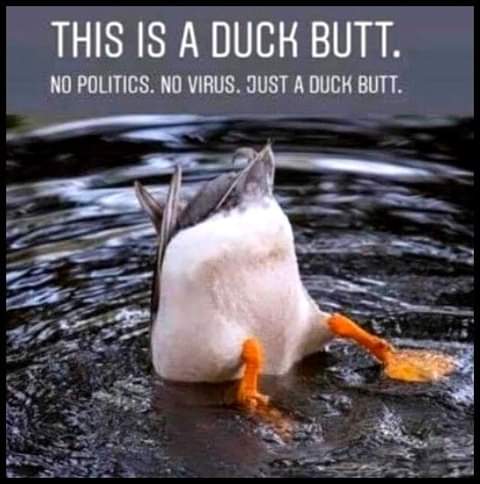 17:11:50 GMT-0800 (PST)