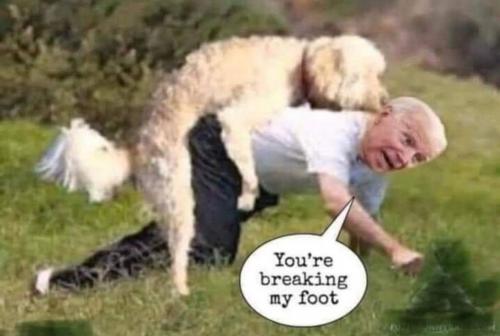 9DAD0628-5A9B-4002-82E3-6F39370CEC76