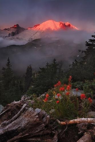 20:27:14 GMT-0600 (CST)