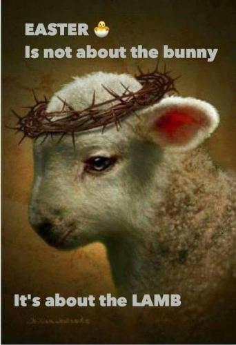 14:35:11 GMT-0400 (EDT).image