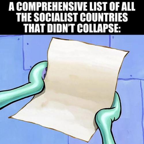 zsocialism73