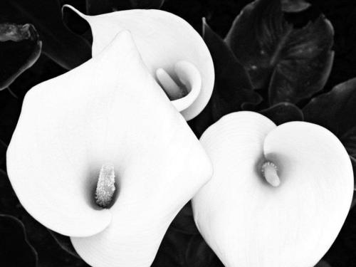 18:46:43 GMT-0800 (PST)