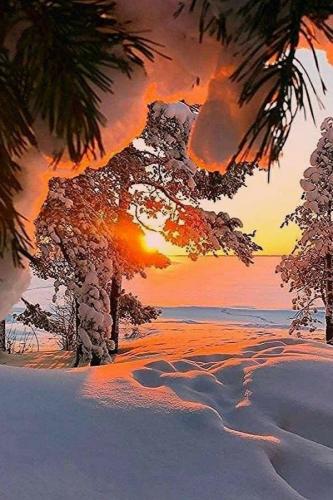 19:32:51 GMT-0600 (CST)