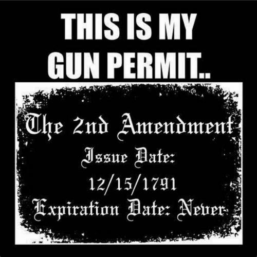 2A GUN PERMIT