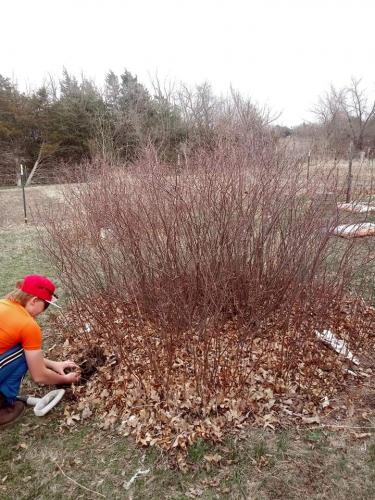 22:22:05 GMT-0500 (CDT)