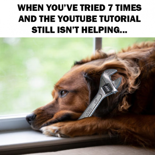 157586393_5151952904878545_1928597686700562620_n