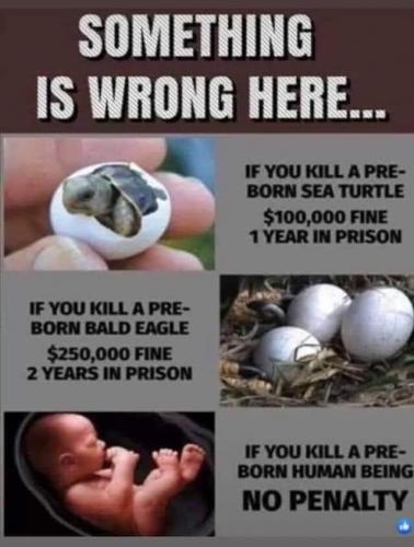 BD68ECC6-4827-4D04-8A4F-9CF5E4545929