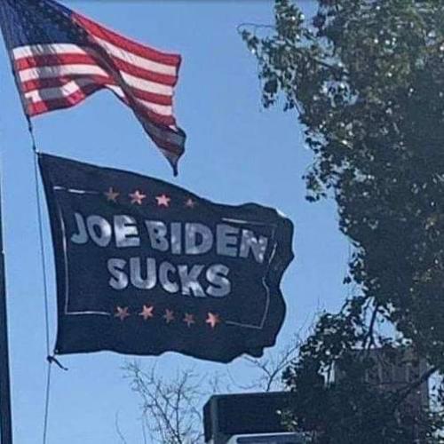 FB_IMG_1615166824876