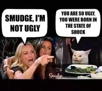 20:51:53 GMT-0700 (PDT)